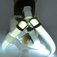 Load image into Gallery viewer, LED Lighted Dog Collar