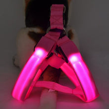 Load image into Gallery viewer, LED Lighted Dog Collar
