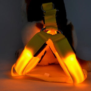 LED Lighted Dog Collar