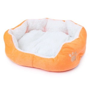 Orange Cat-Dog Cushion