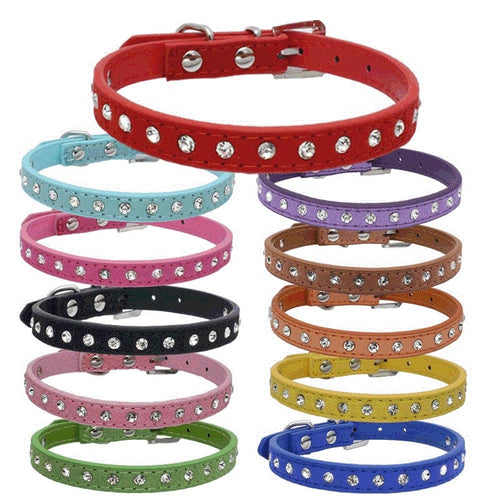 11 Colors Dog Collar