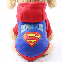 Load image into Gallery viewer, Cartoon Dog Clothes