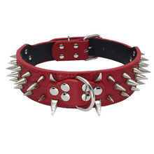 Load image into Gallery viewer, Adjustable Dog Collars