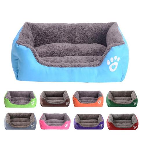 Cat-Dog Cushion